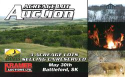 Real Estate Auction