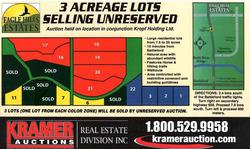 Real Estate Auction