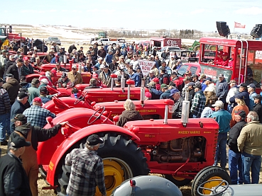 Auction Sales Photo